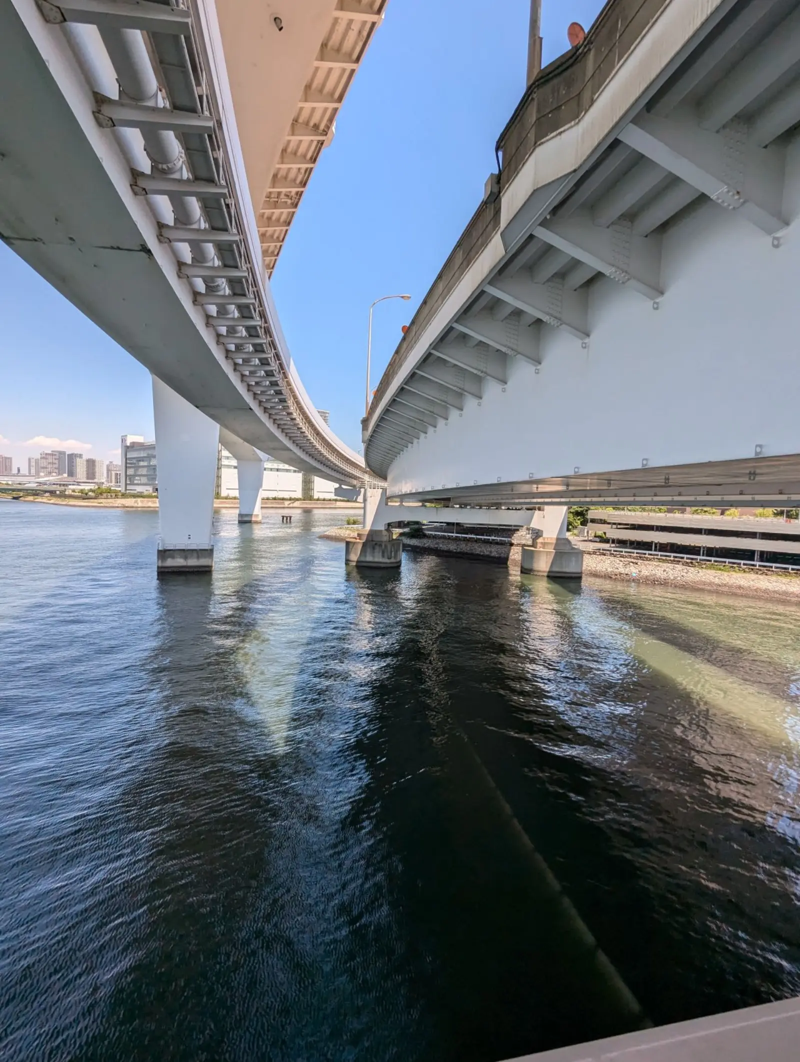 NetWalking #005: Rainbow Bridge!๐