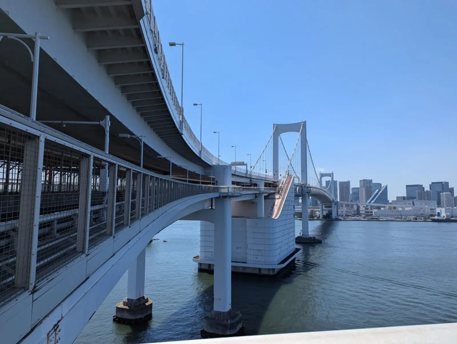 NetWalking #005: Rainbow Bridge!๐