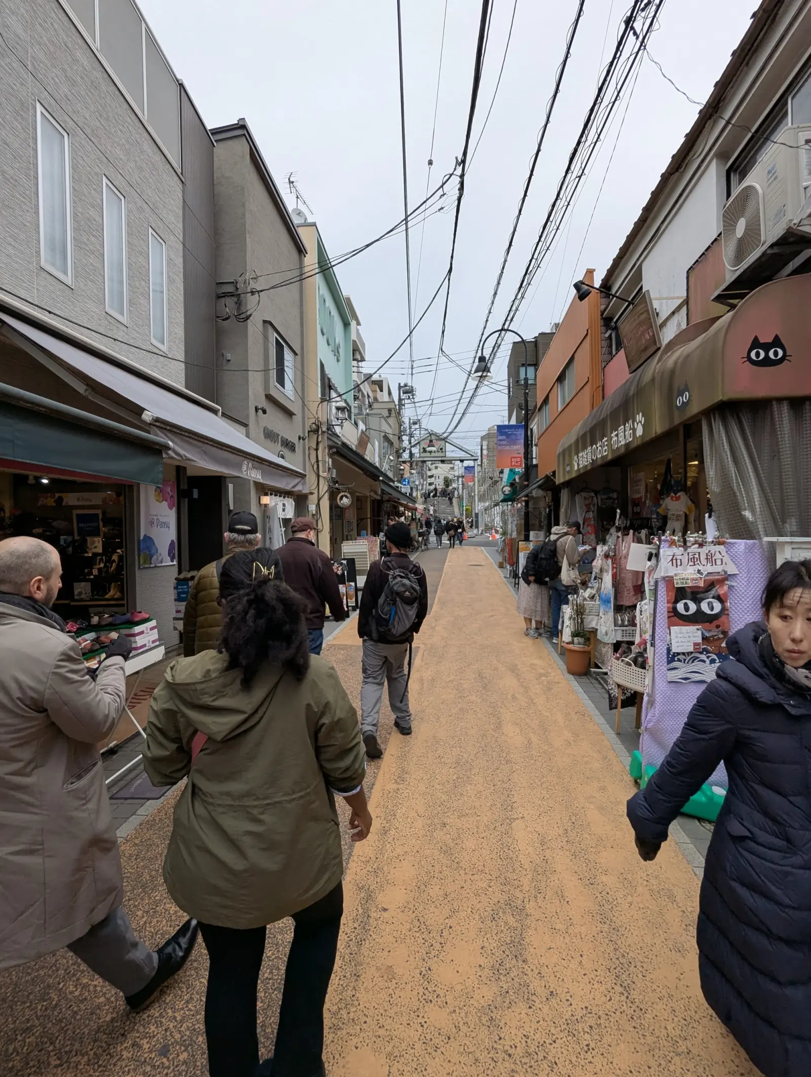 NetWalking #010: Hanami Walk!๐ธ