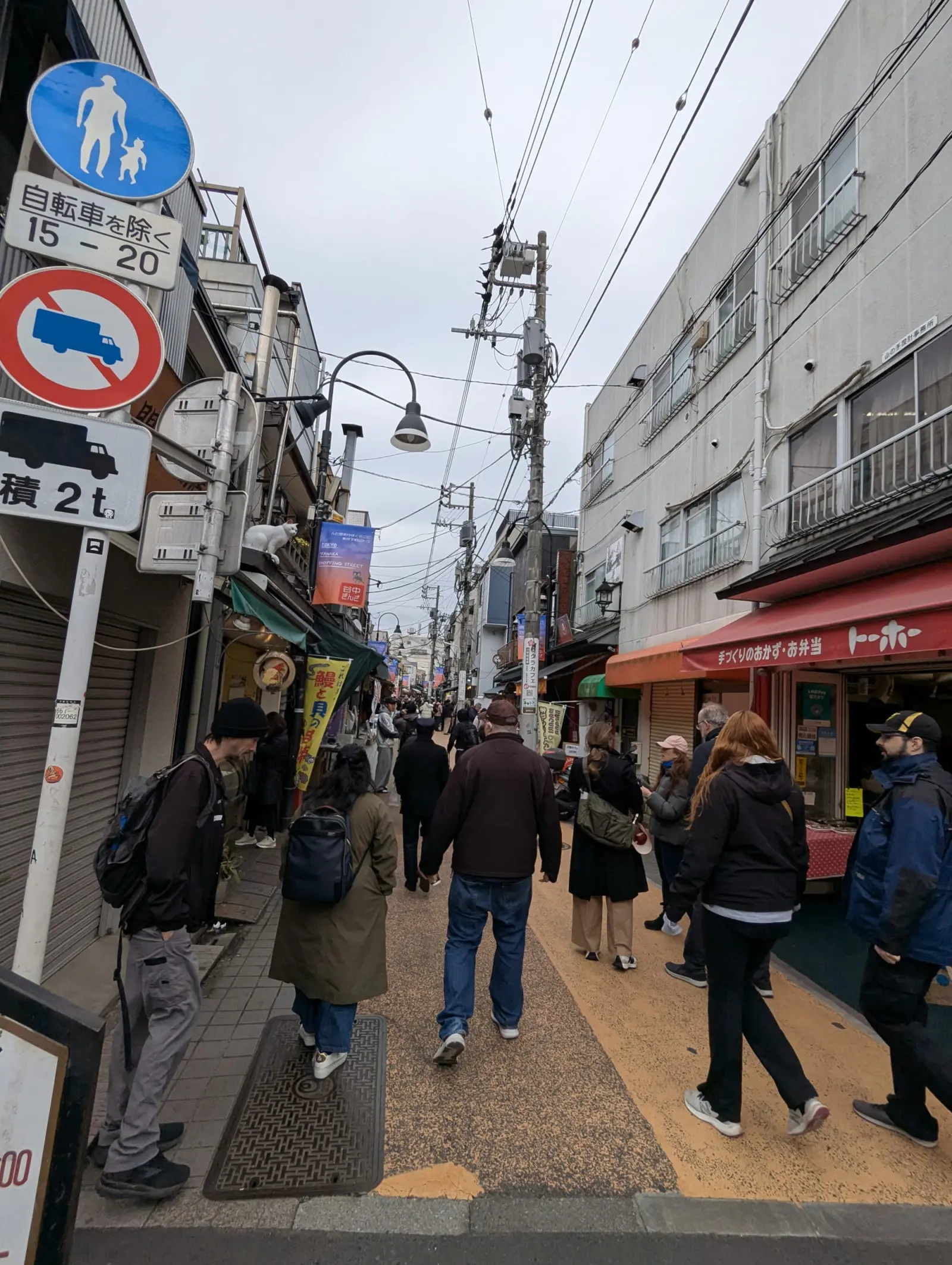 NetWalking #010: Hanami Walk!๐ธ