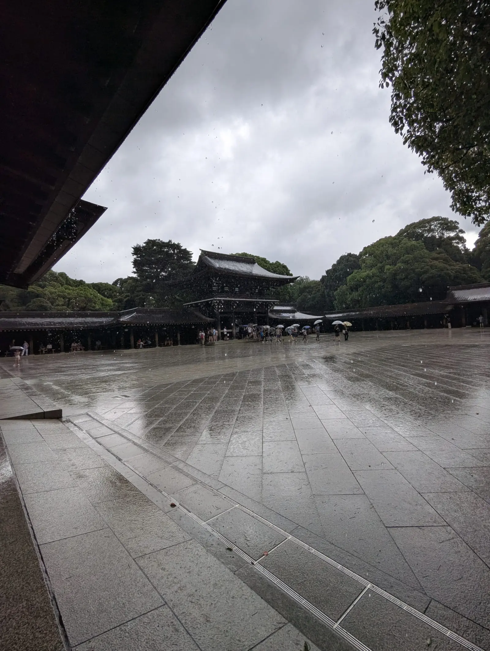 NetWalking #012: Meiji Jingu Walk⛩️