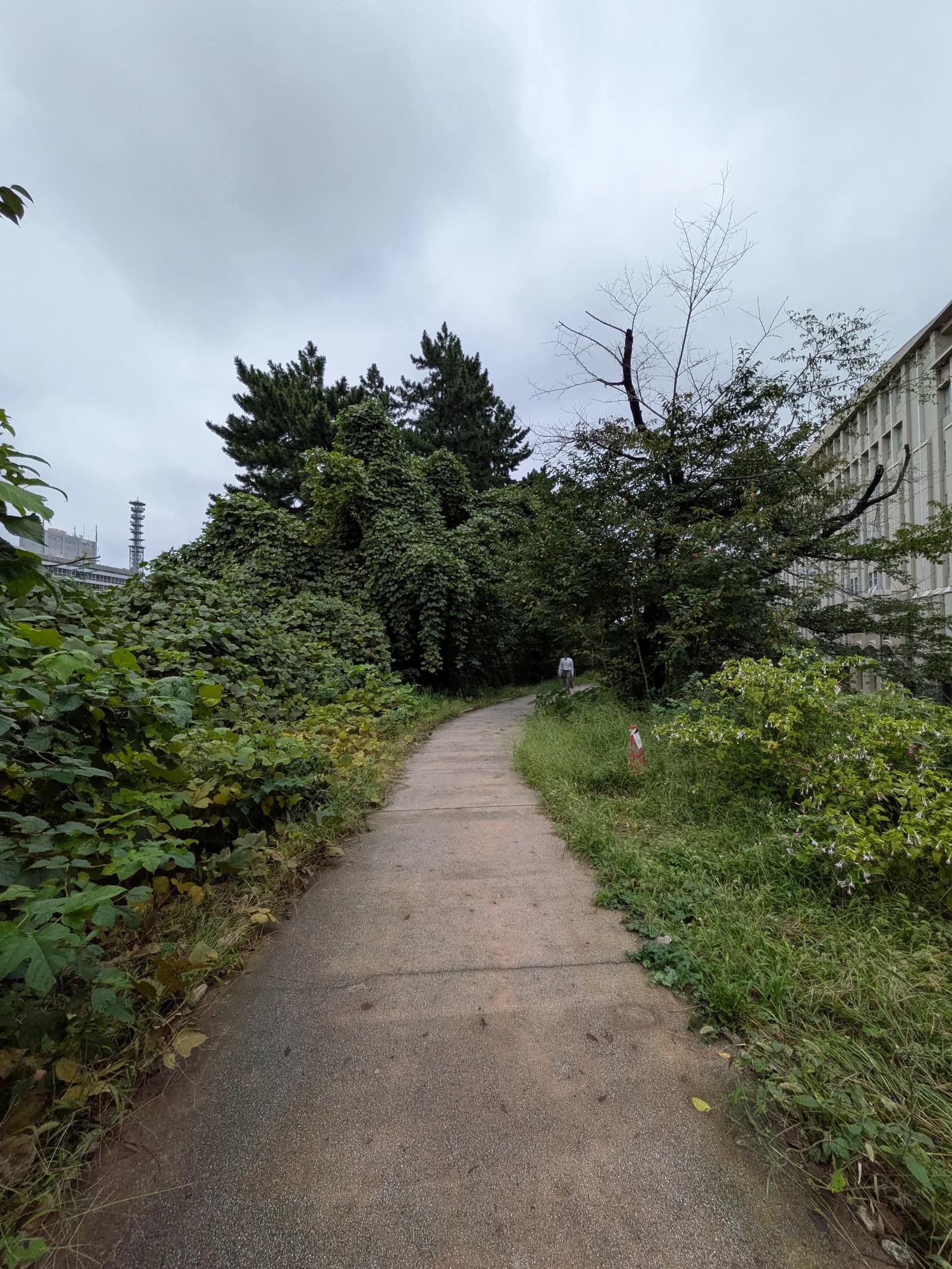 NetWalking #022: Moat Walk