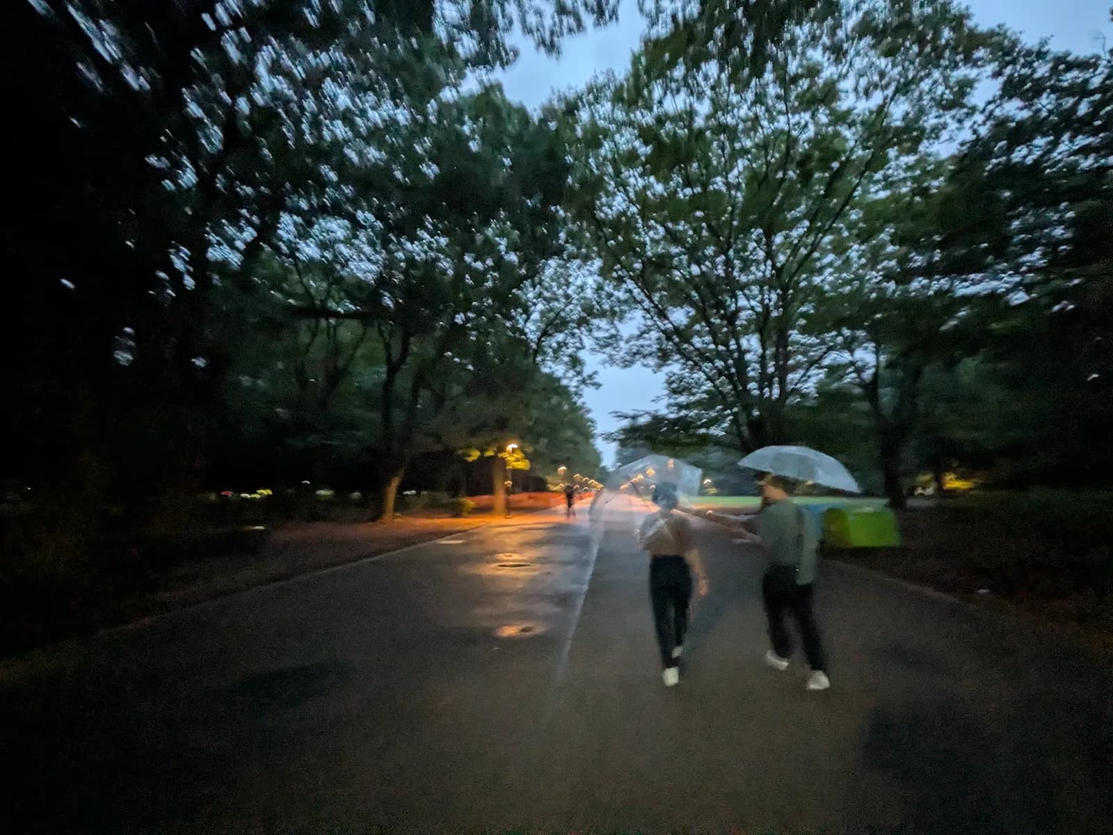 NiteWalking #003: Zenso Collab: Walk x Sound Bath