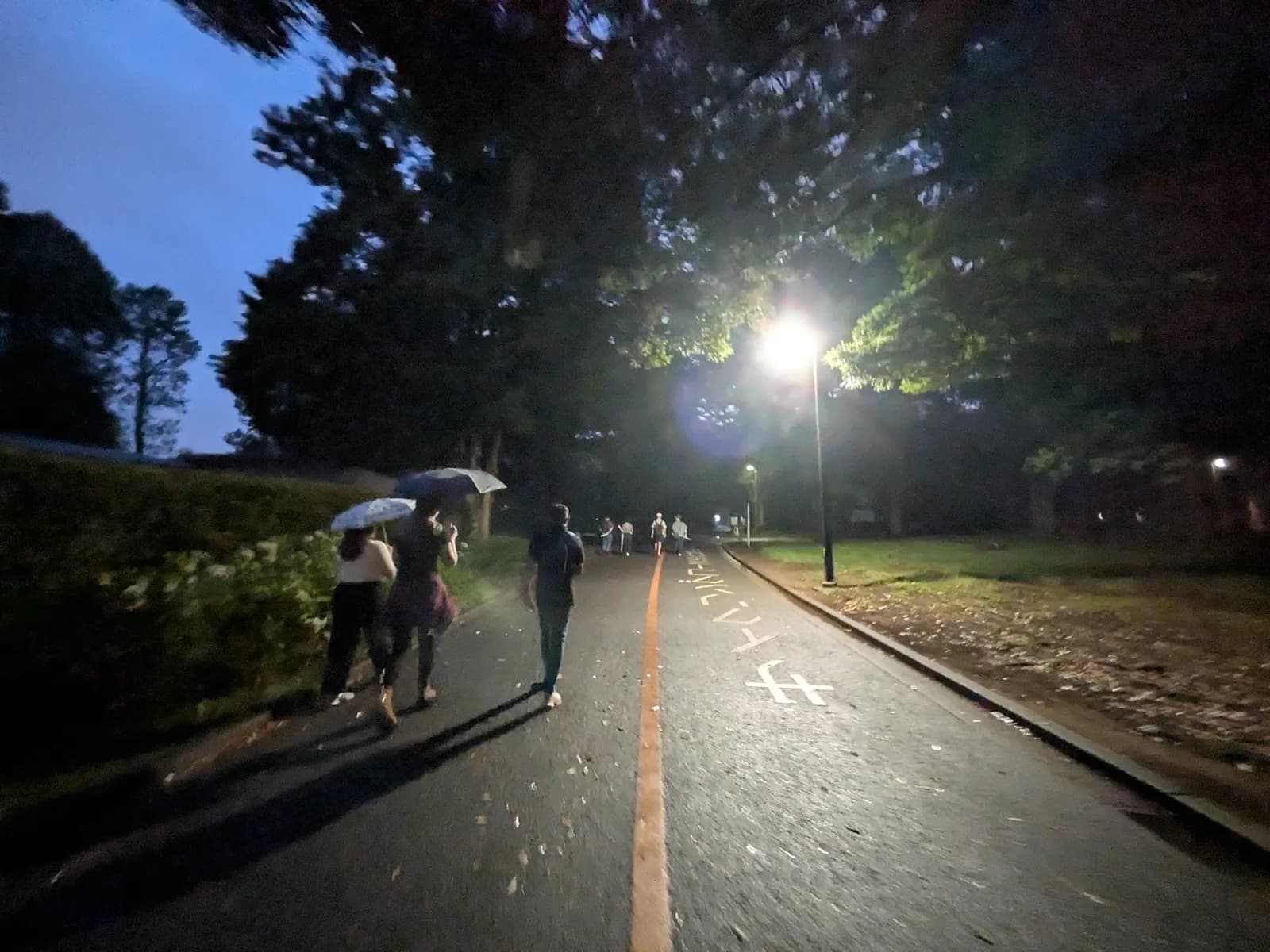 NiteWalking #003: Zenso Collab: Walk x Sound Bath